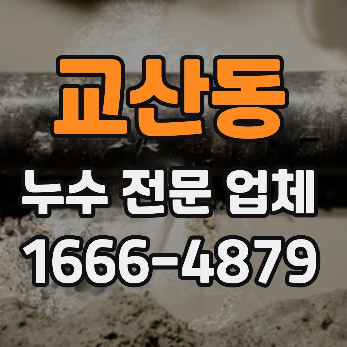 교산동 누수 전문 업체