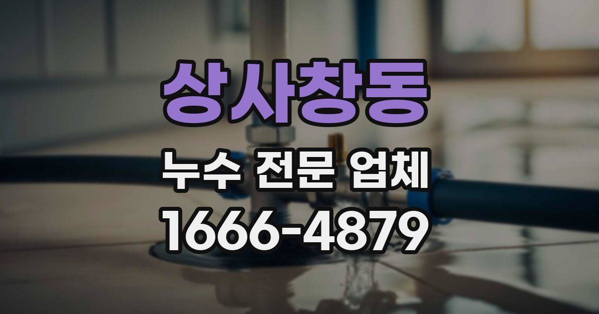 상사창동 누수 전문 업체