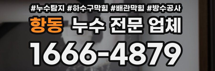 항동 누수 전문 업체