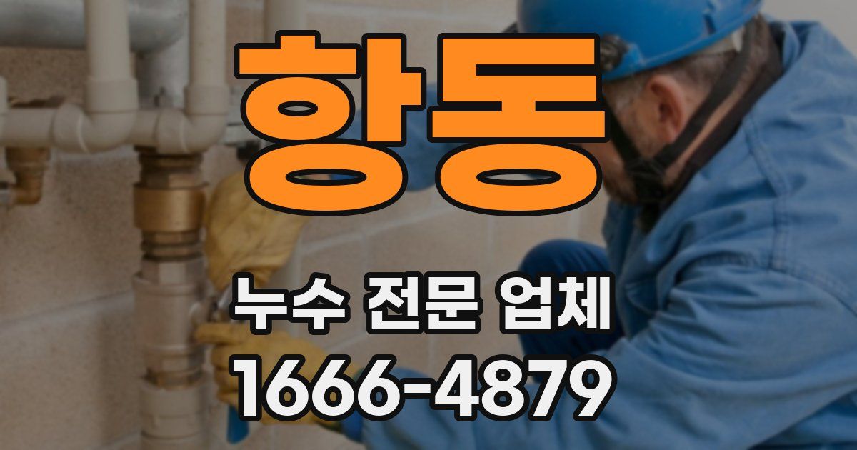 항동 누수 전문 업체