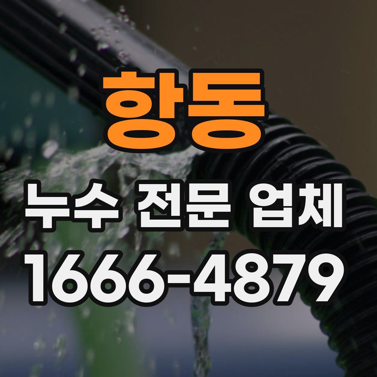 항동 누수 전문 업체