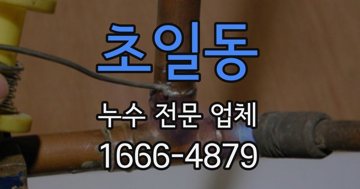 초일동 누수 전문 업체
