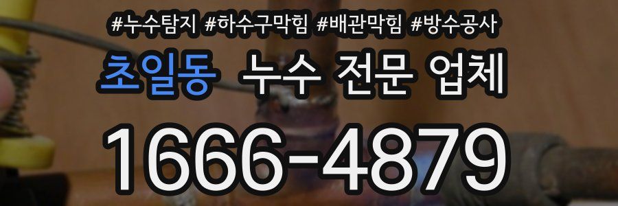 초일동 누수 전문 업체