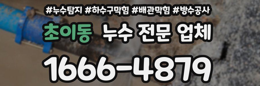 초이동 누수 전문 업체