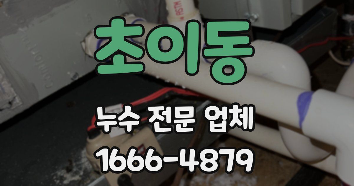 초이동 누수 전문 업체