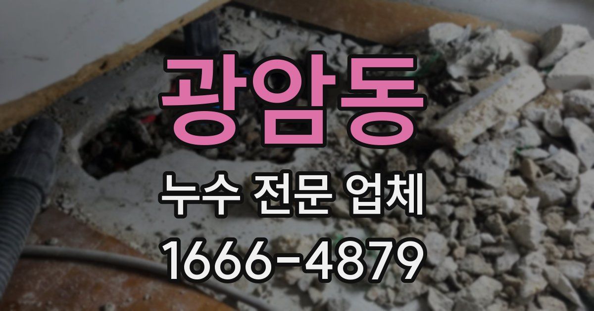 광암동 누수 전문 업체