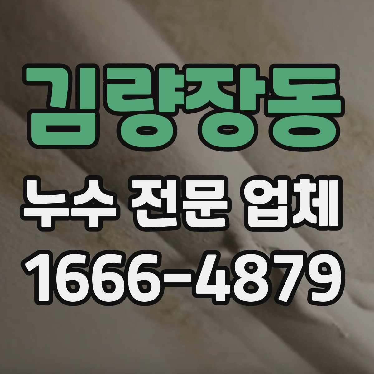 김량장동 누수 전문 업체