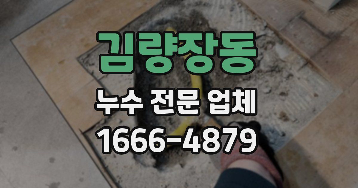 김량장동 누수 전문 업체