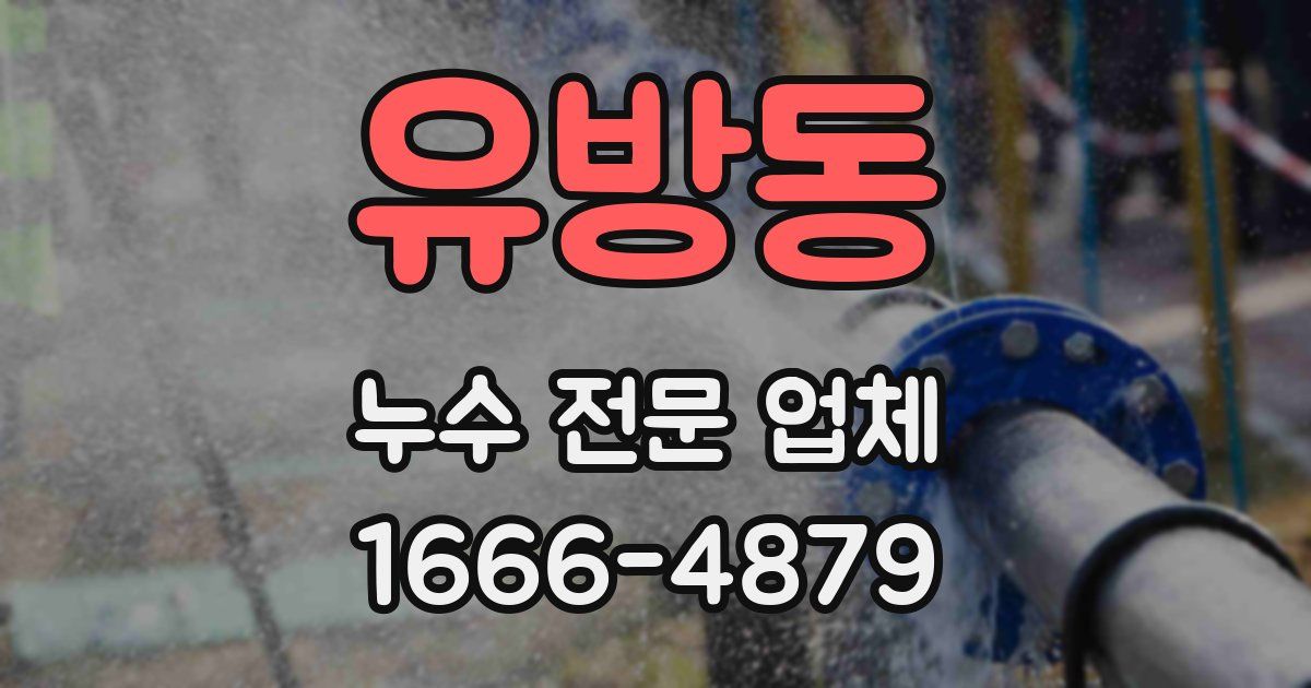 유방동 누수 전문 업체