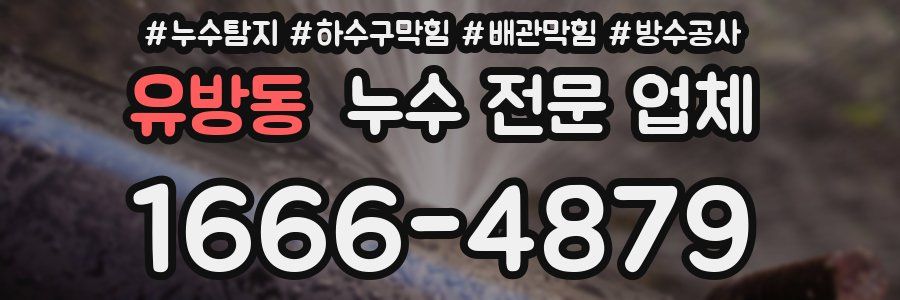 유방동 누수 전문 업체