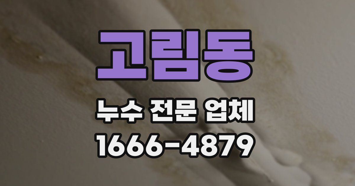 고림동 누수 전문 업체