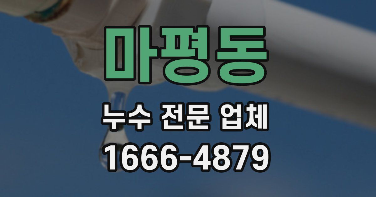 마평동 누수 전문 업체