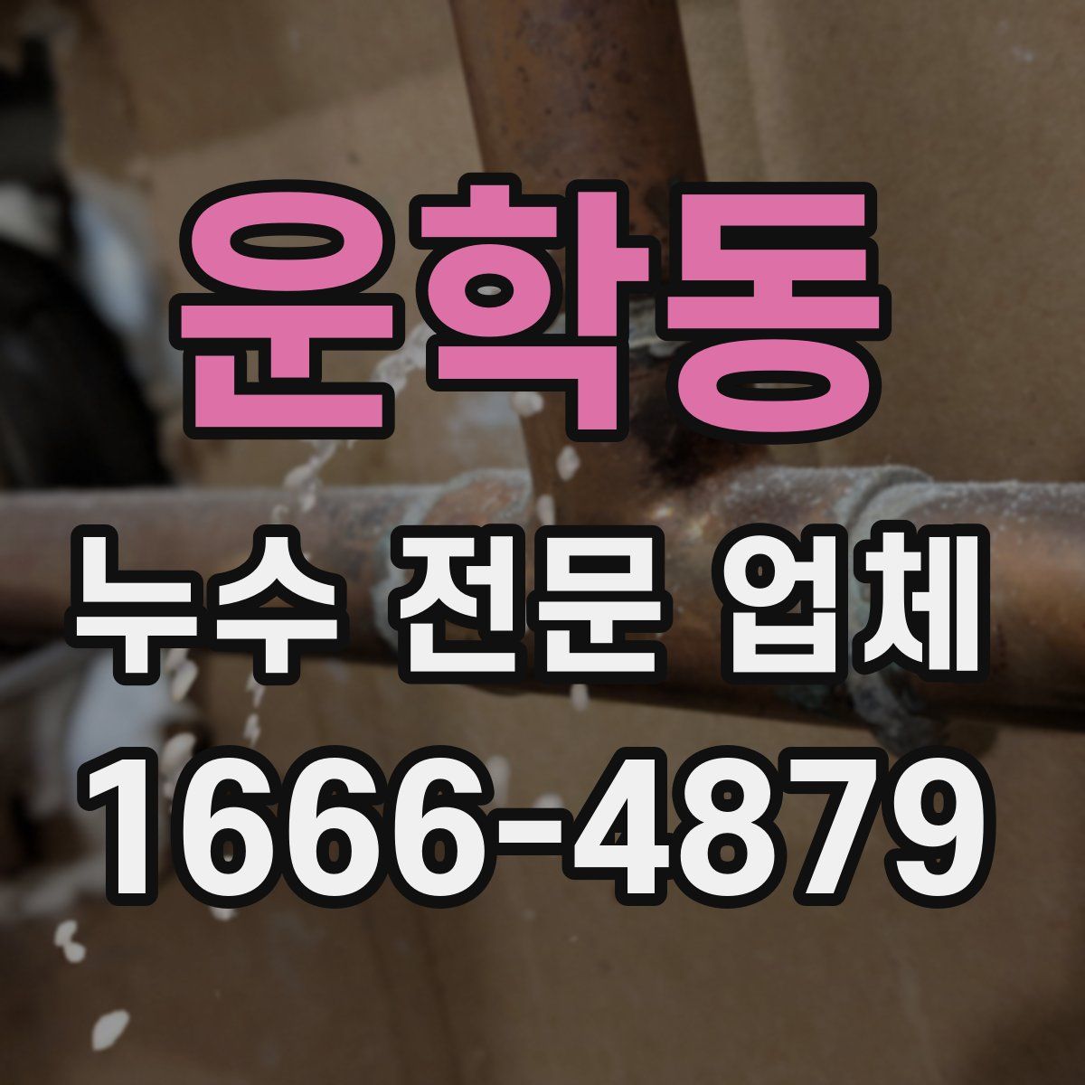 운학동 누수 전문 업체