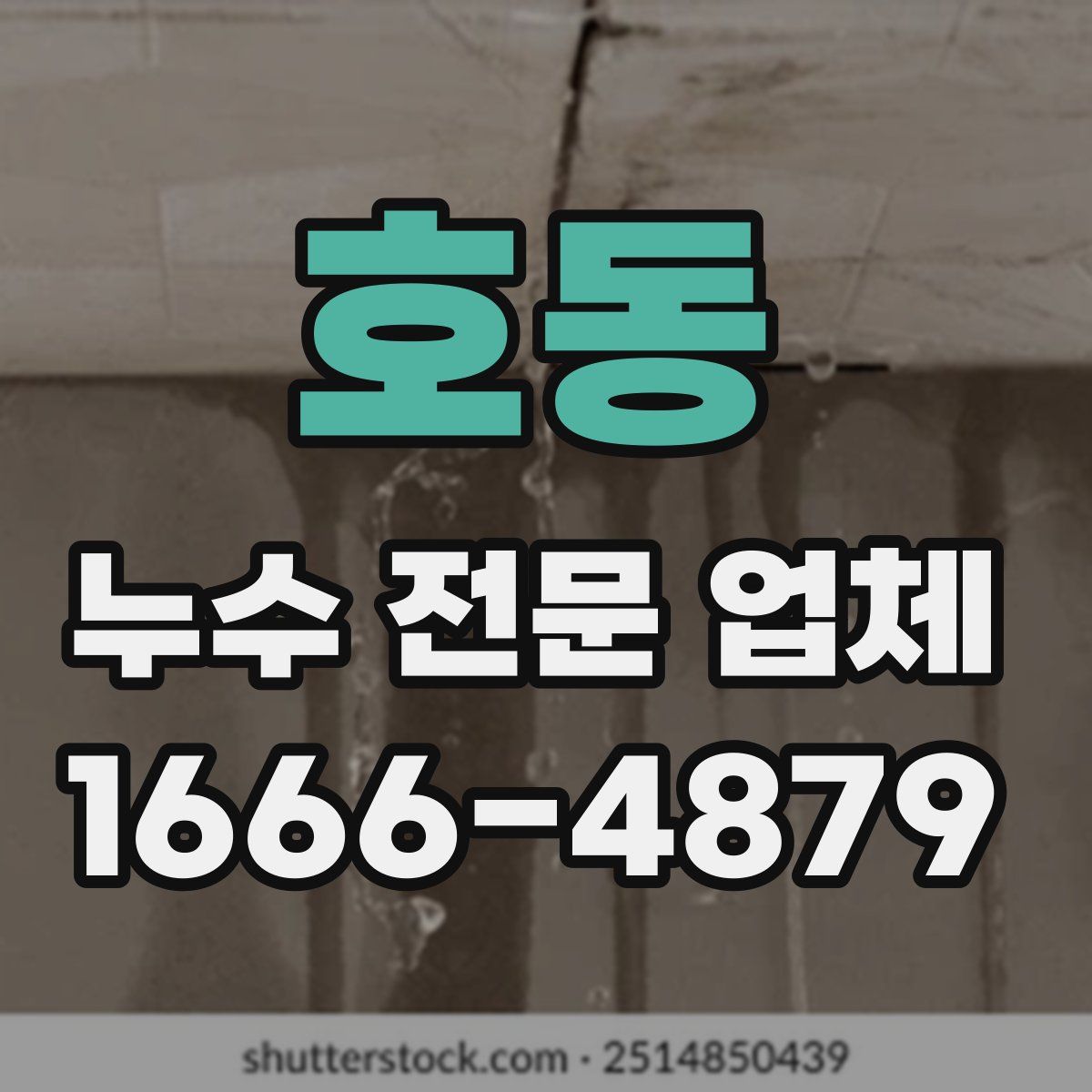 호동 누수 전문 업체