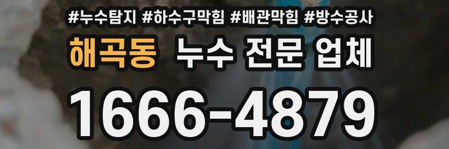 해곡동 누수 전문 업체
