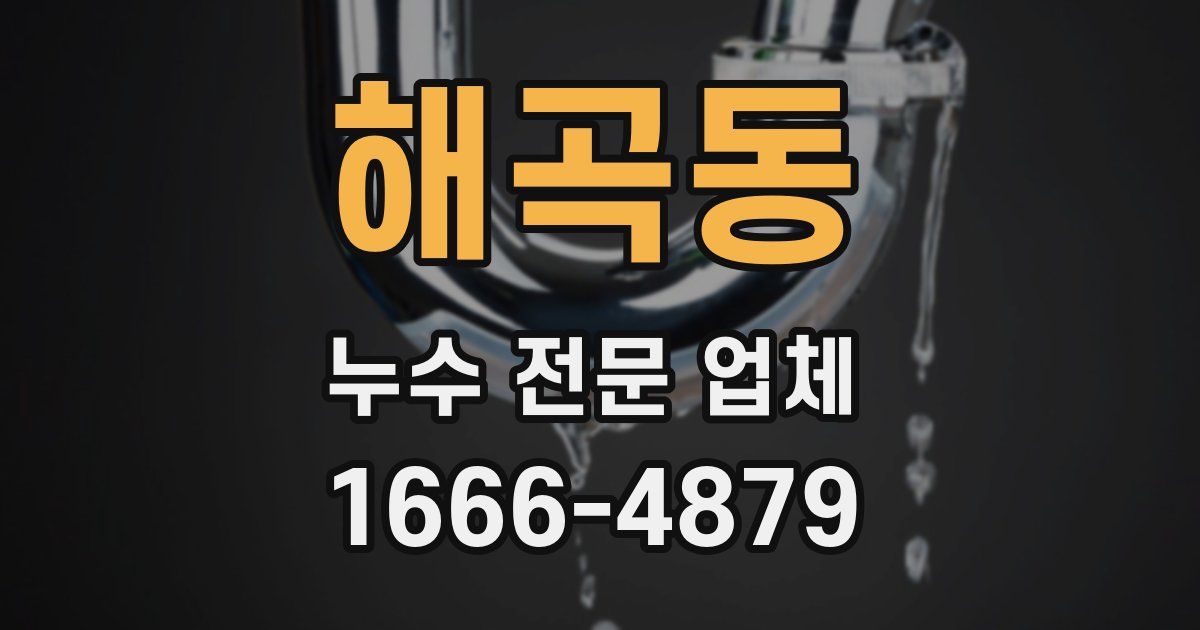 해곡동 누수 전문 업체