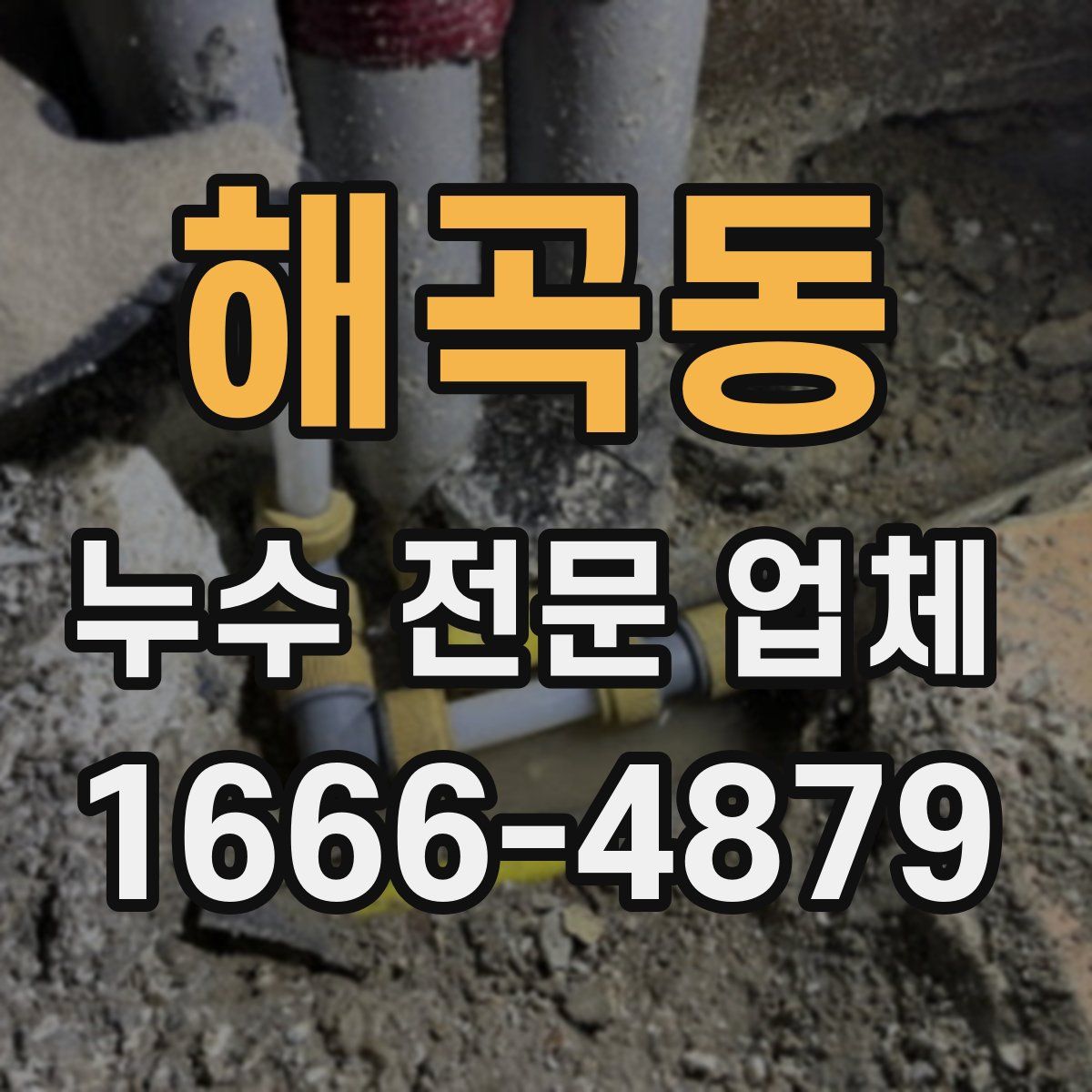 해곡동 누수 전문 업체