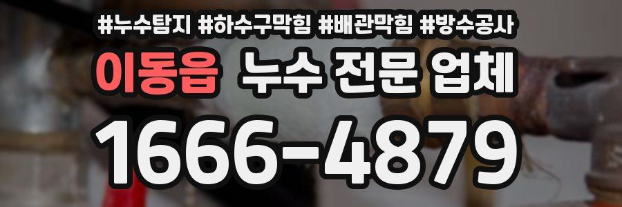 이동읍 누수 전문 업체