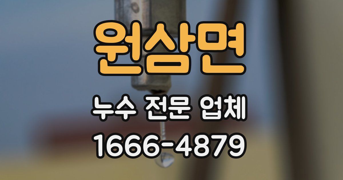 원삼면 누수 전문 업체