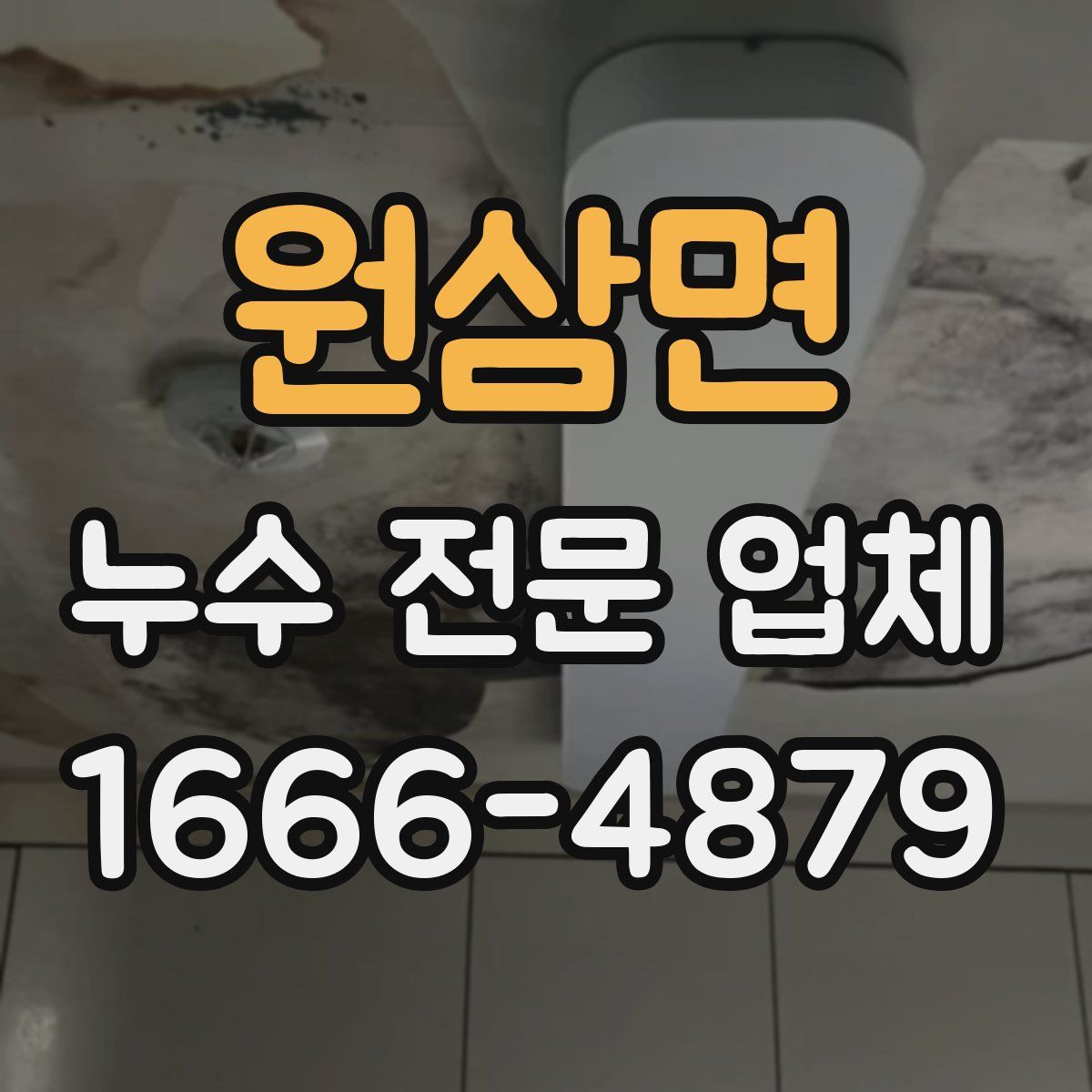 원삼면 누수 전문 업체