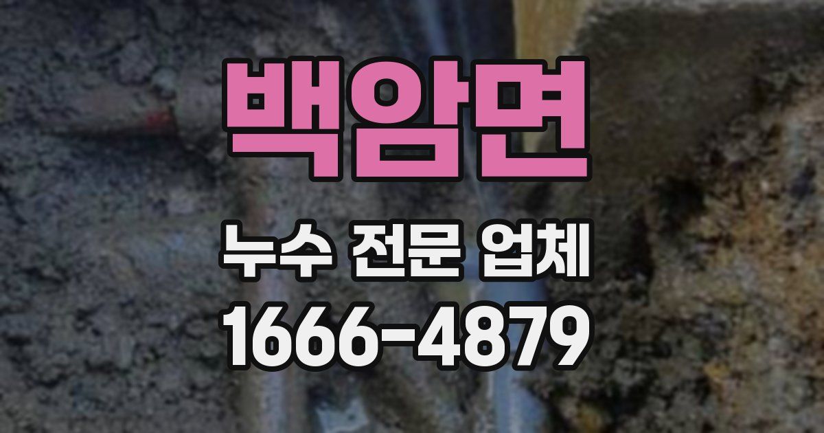 백암면 누수 전문 업체