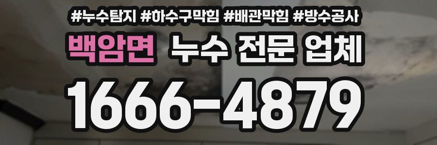 백암면 누수 전문 업체