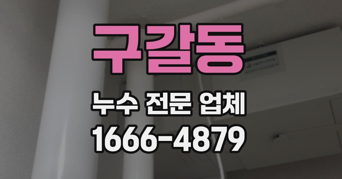 구갈동 누수 전문 업체