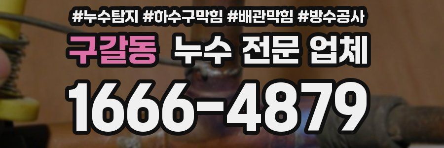 구갈동 누수 전문 업체