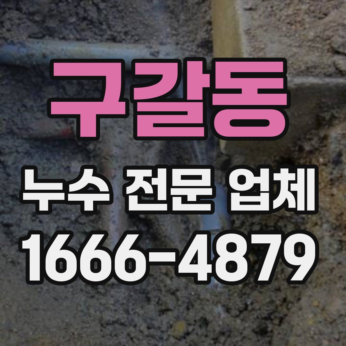 구갈동 누수 전문 업체