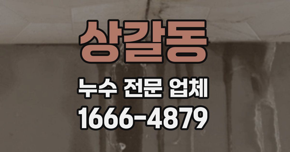 상갈동 누수 전문 업체