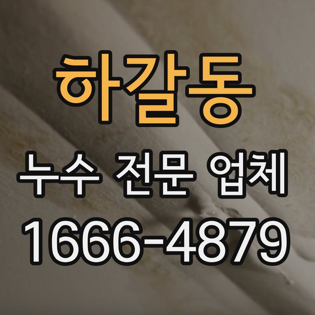 하갈동 누수 전문 업체