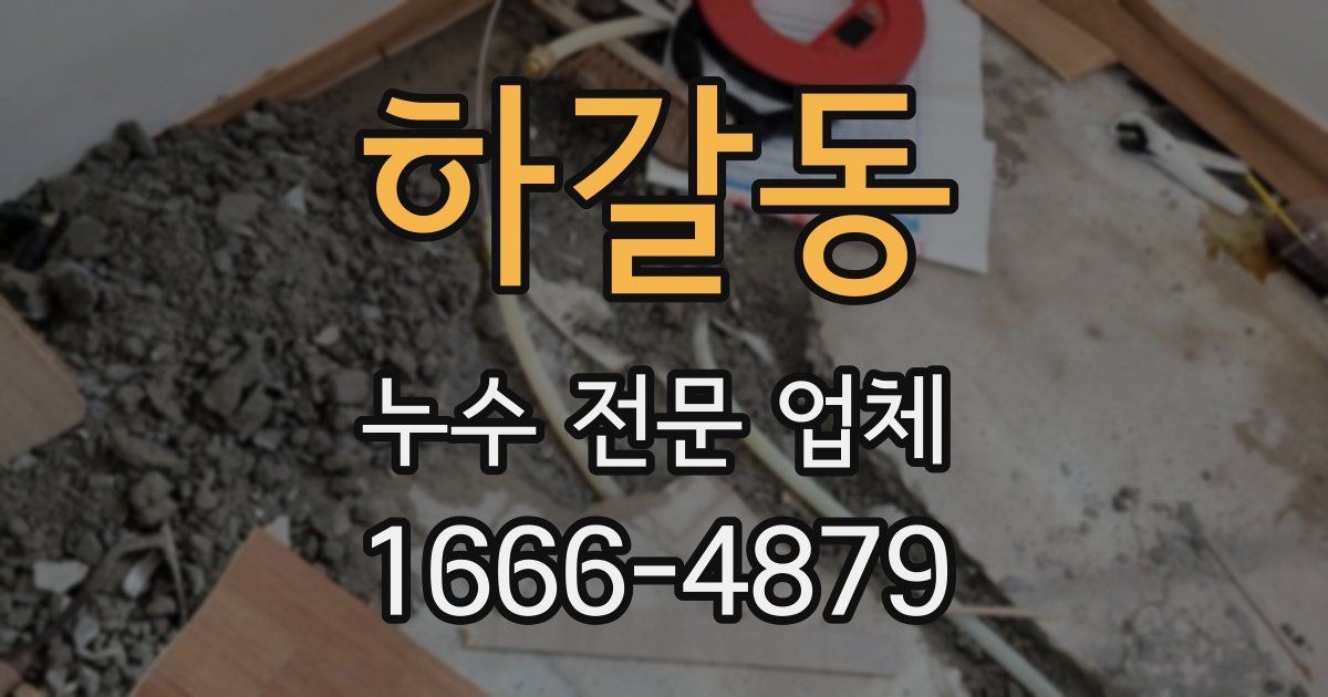 하갈동 누수 전문 업체