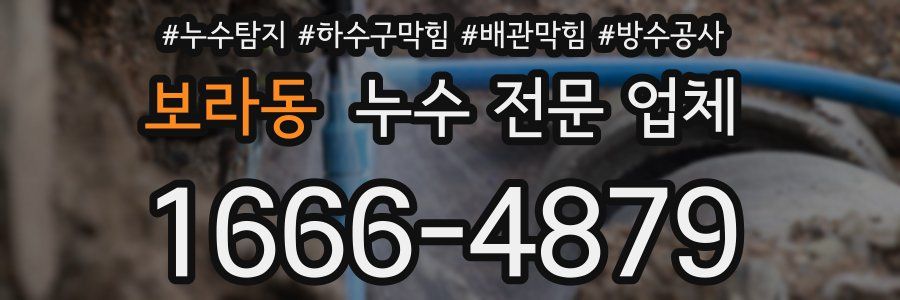 보라동 누수 전문 업체