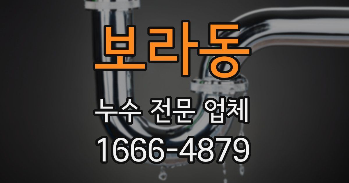 보라동 누수 전문 업체