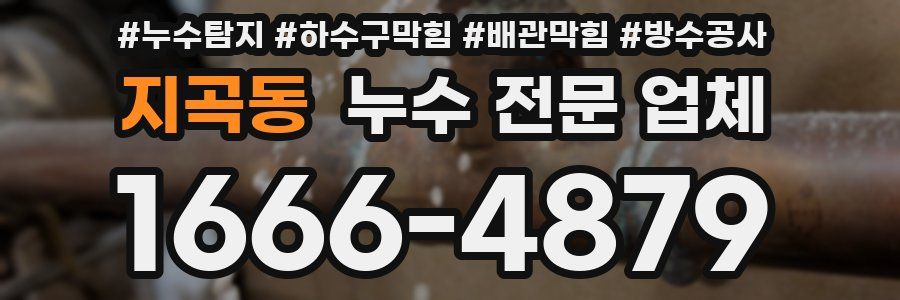 지곡동 누수 전문 업체