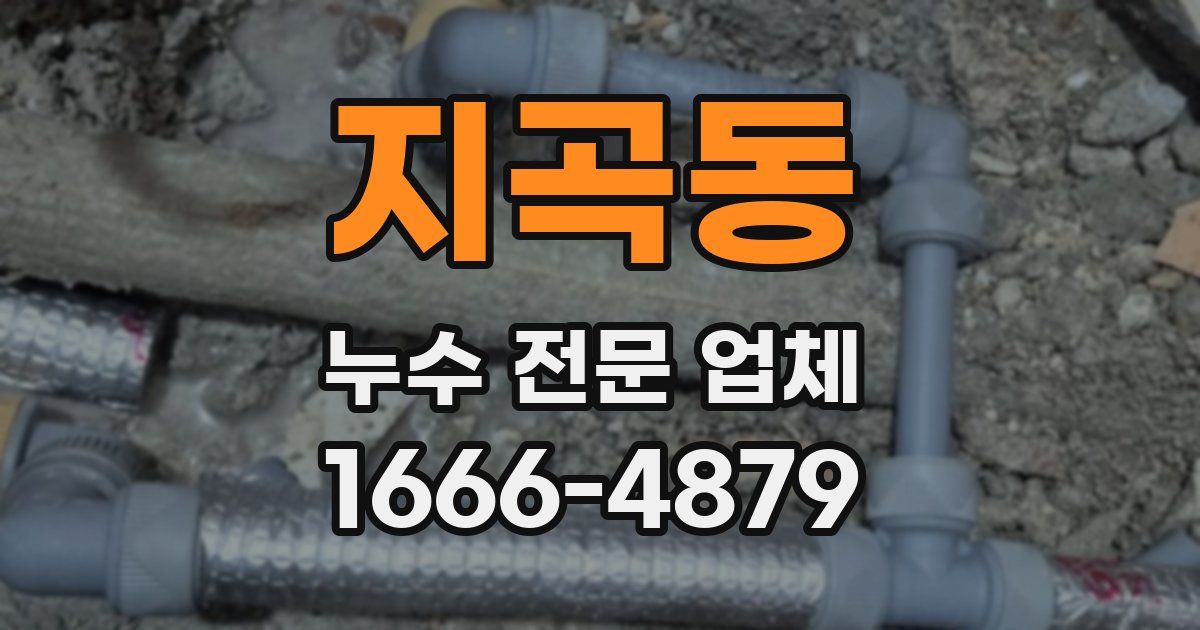 지곡동 누수 전문 업체