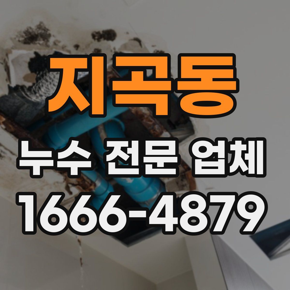 지곡동 누수 전문 업체