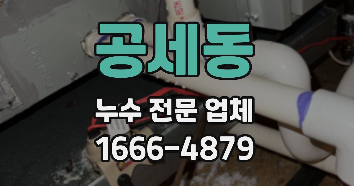 공세동 누수 전문 업체
