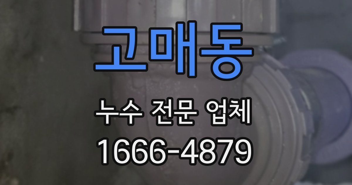 고매동 누수 전문 업체