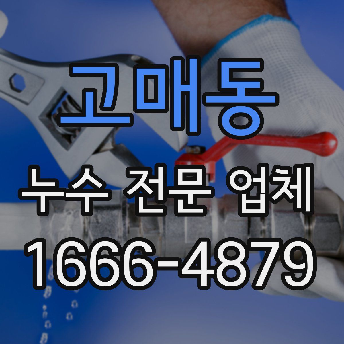 고매동 누수 전문 업체