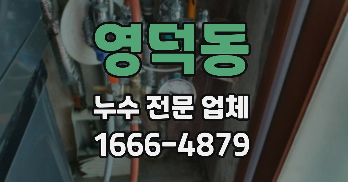 영덕동 누수 전문 업체
