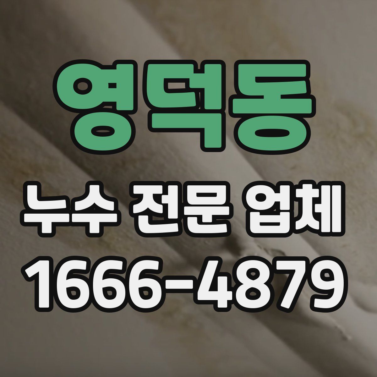 영덕동 누수 전문 업체