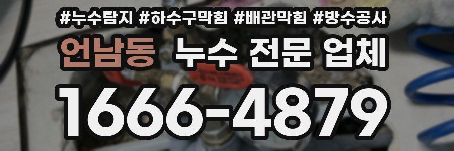 언남동 누수 전문 업체