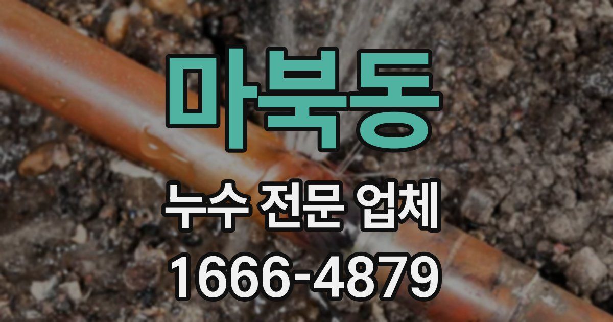 마북동 누수 전문 업체