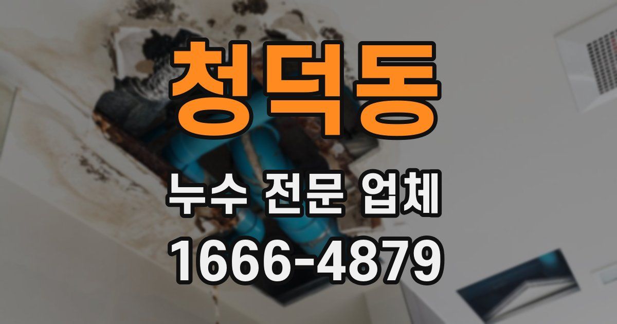 청덕동 누수 전문 업체