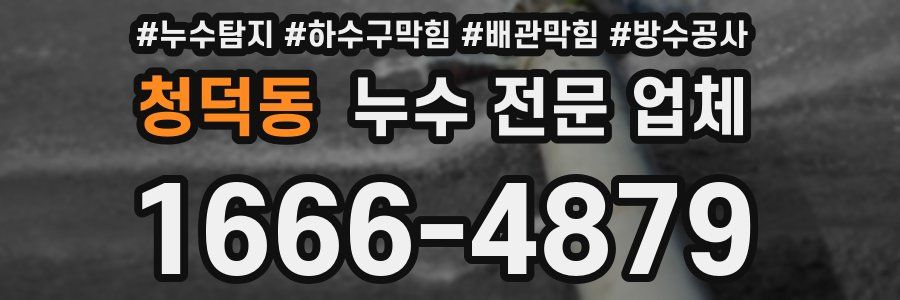 청덕동 누수 전문 업체