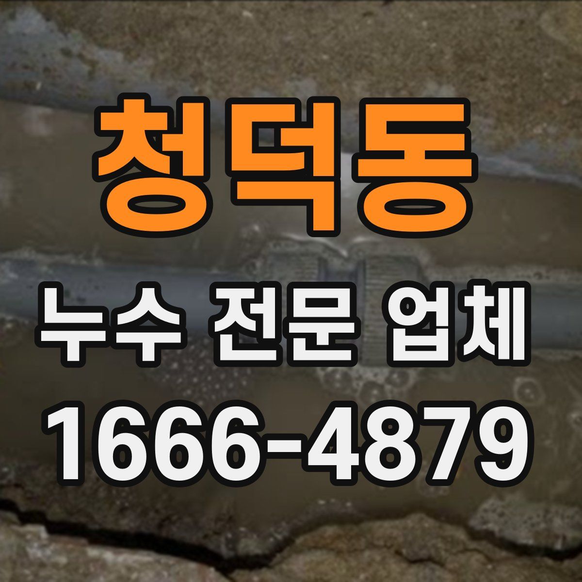 청덕동 누수 전문 업체