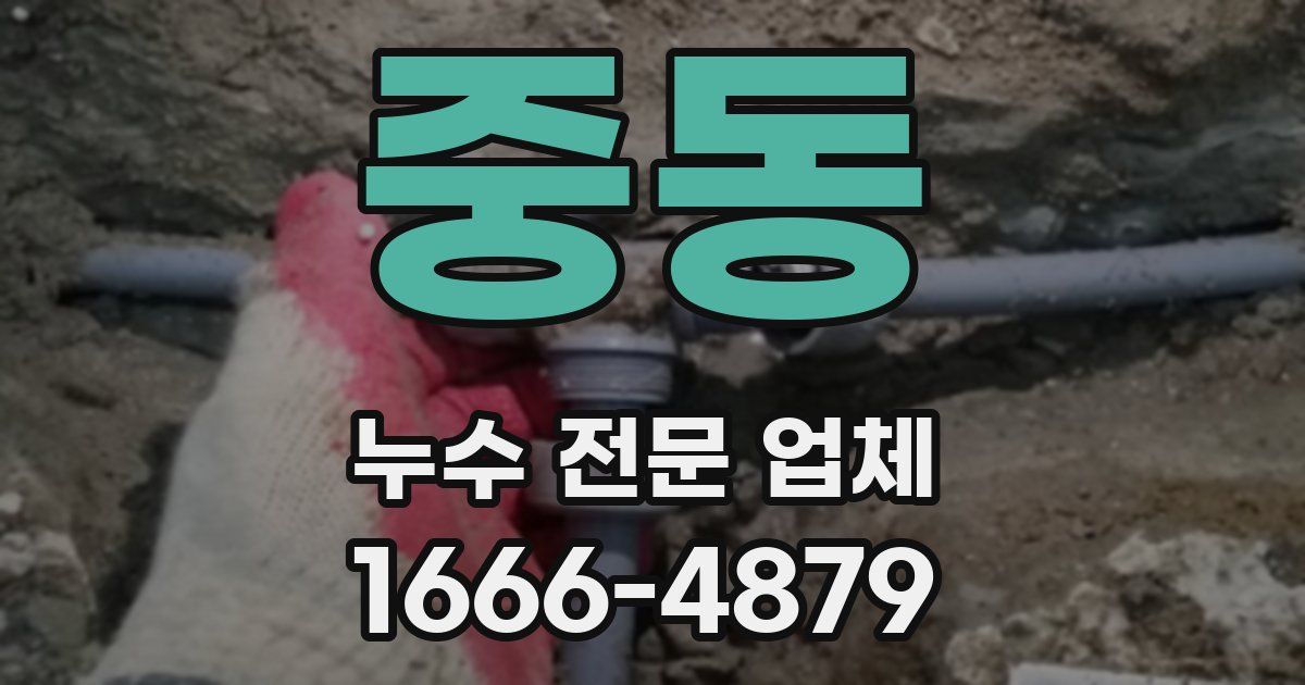 중동 누수 전문 업체