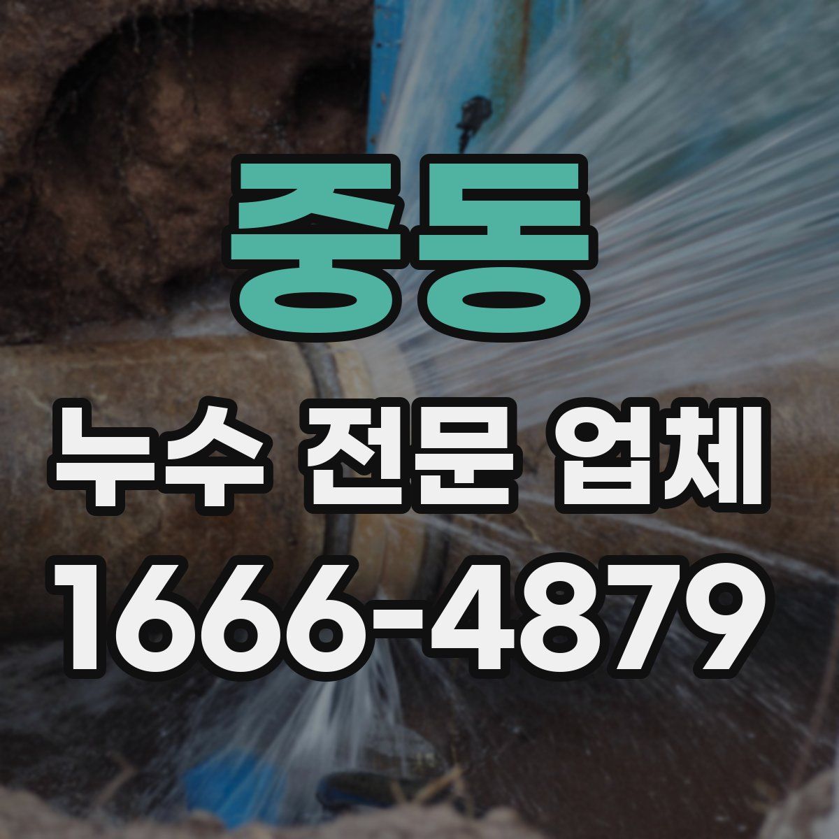 중동 누수 전문 업체