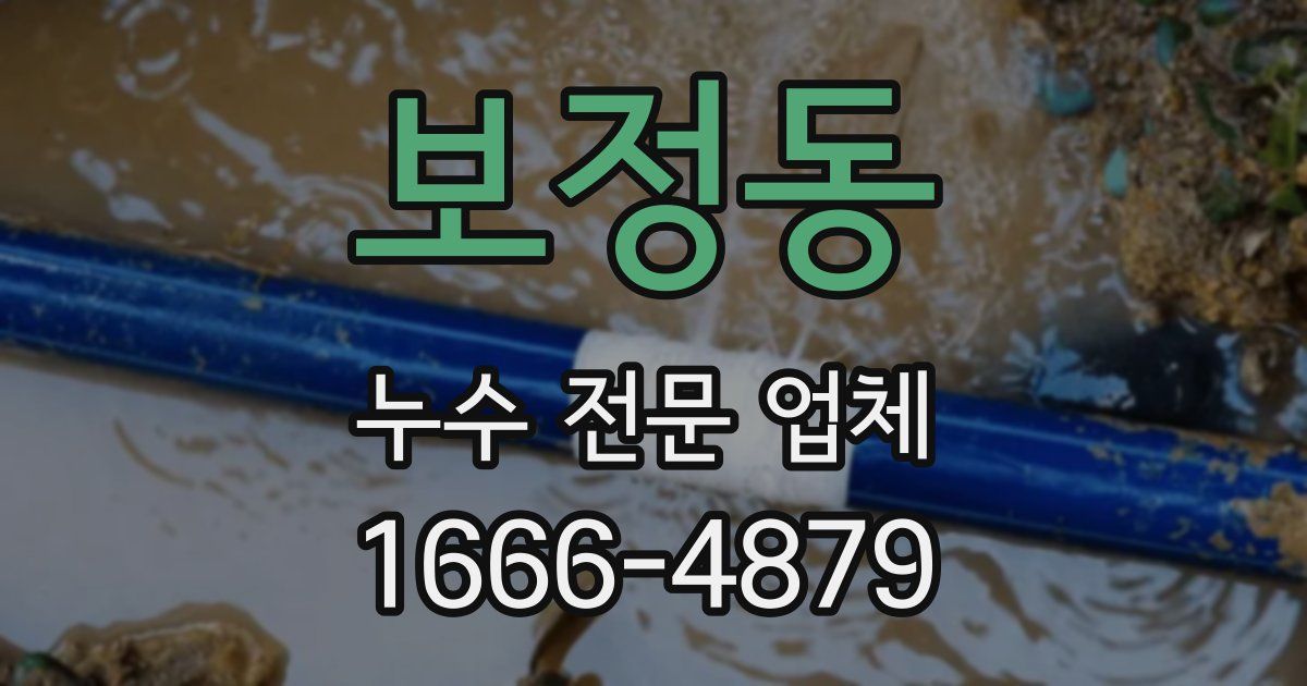 보정동 누수 전문 업체